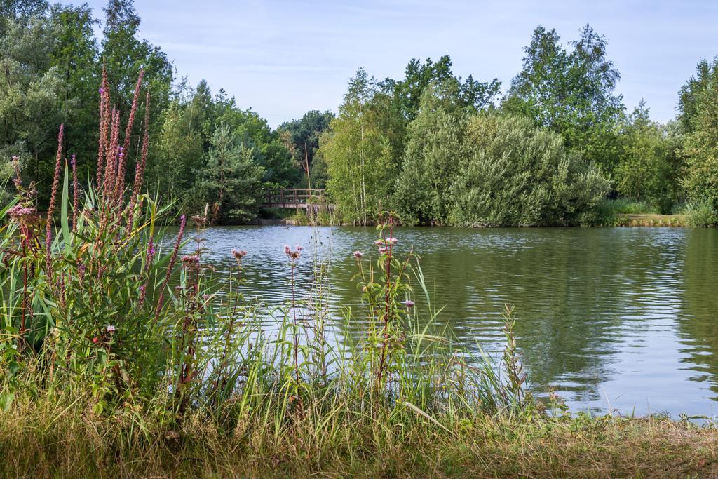 Oostappen Vakantiepark Zilverstrand Мол Екстер'єр фото